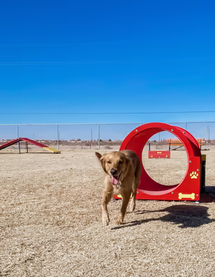 Jaycees Dog Park photo 2